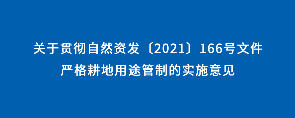 关于贯彻自然资发〔2021〕166号文件严格耕地用途管制的实施意见